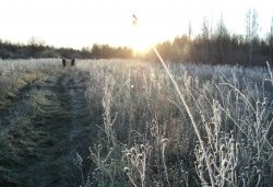 Паломничество в Доможирку в день памяти св. вмц. Параскевы 10 ноября 2011 года